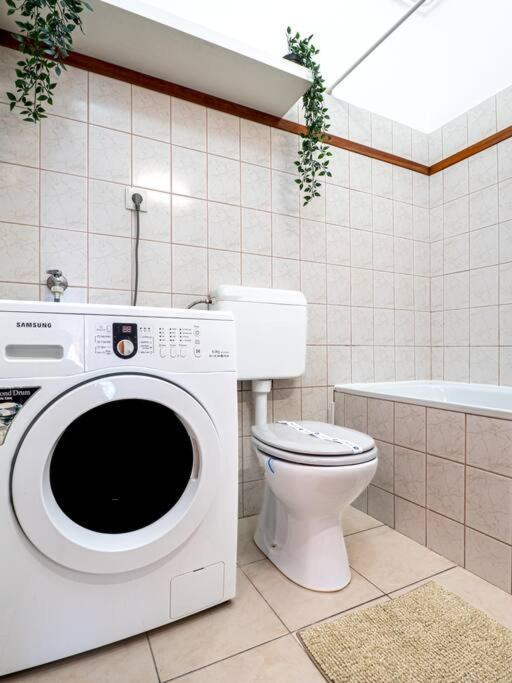 Mexicopo Apartment With Garage 布达佩斯 外观 照片
